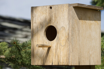 A Birdhouse in the Backyard