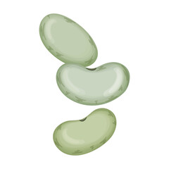 Beans vector cartoon icon. Vector illustration bean on white background. Isolated cartoon illustration icon of beans .