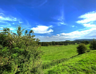 Country landscape, with fields, trees, and the Pendle hills, on a hot summers day in, Bolton by Bowland, Clitheroe, UK