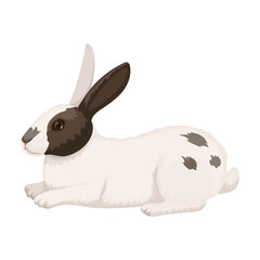 Rabbit vector cartoon icon. Vector illustration bunny on white background. Isolated cartoon illustration icon of rabbit.