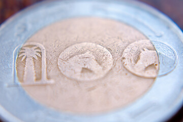 Close-up shot of Algerian Currency 