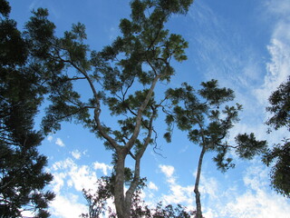 Paisagem e céu.