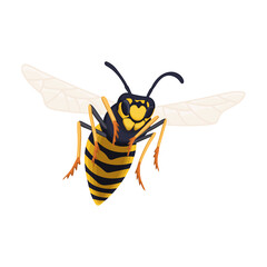 Wasp vector cartoon icon. Vector illustration insect wasp on white background. Isolated cartoon illustration icon of insect hornet.