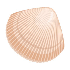 Shell sea vector cartoon icon. Vector illustration sea shell on white background. Isolated cartoon illustration icon of seashell.