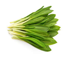 Ramson fresh leaves.