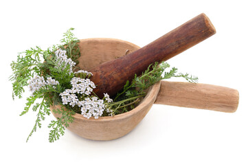 Yarrow flower in a mortar and pestle.