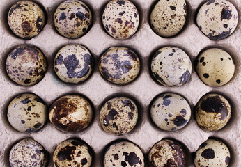 Quail eggs background. Quail eggs for easter