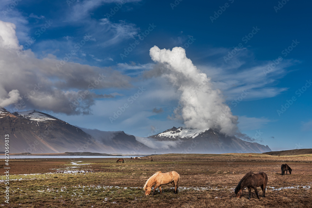 Poster iceland