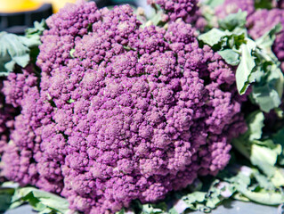 Fresh head purple roman cauliflowers on the market. Healthy vegetarian food. Vegan concept.