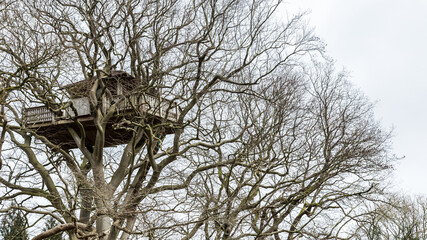 Treehouse high in the air in a tree