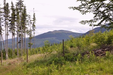 Góra na horyzoncie. © Lukasz Lewczuk