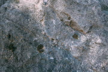 The texture of a large stone, part of a rock on a sunny day. Close-up. Macro