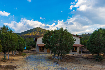 Obraz premium Cabaña de piedra tras árbol en bosque con montaña al fondo cielo azul y nubes