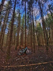 mountain bike in forest