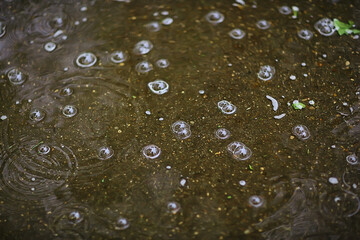 rain puddle circles, aqua abstract background, texture autumn water