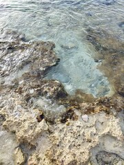 Obraz premium Cozumel de San Miguel, Quintana Roo México