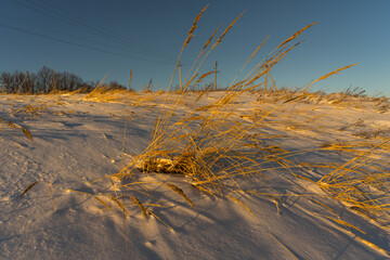sand dunes in the snow