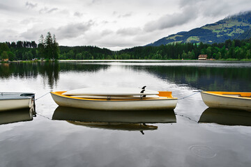 Tranquil scenery on the Schwarzsee - Black Lake, moor lake,  west of Kitzbuhel along the Brixental Road in the heart of the Kitzbuhel Alps, Tyrol, Austria
