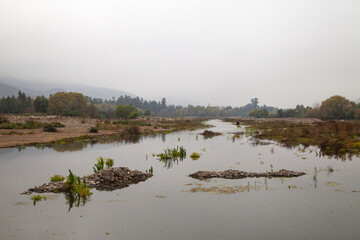 Invierno en el Estero Zamorano