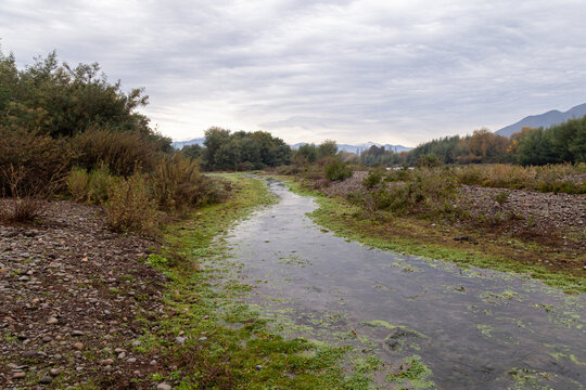 Estero Zamorano San Vicente