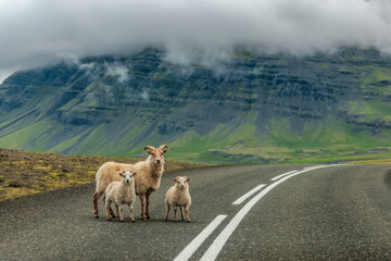 Iceland