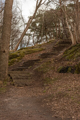 Fototapeta premium Stone stairs at a path in a park.