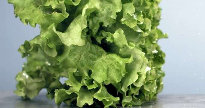 SUPER SLOW MOTION fresh green lettuce falling on a talbe, water splashes against blue background. Shot with high speed camera, 720 FPS