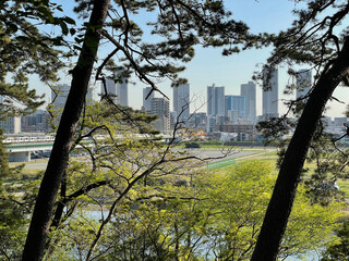 多摩川沿いの公園と高層ビル群