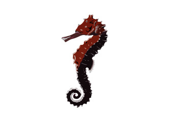 seahorse isolated on white background. Vector. Underwater life. Watercolor. Sea animals.