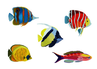 Naklejka premium Set of fish isolated on white background. Vector. Underwater life. Watercolor. Sea animals.