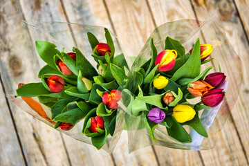 Ein frischer Bunt Tulpen ist immer schön anzusehen