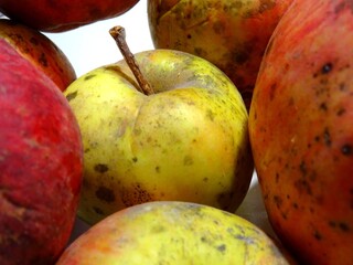 A detail of bio organic apples