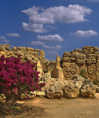 The Ggantija temples, Gozo, megalithic temples in Malta, UNESCO World Heritage Site