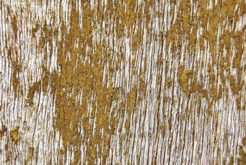 Old chipped wood