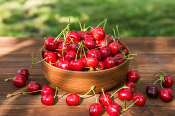 Ripe juicy berries cherries in a bowl. Freshly picked ripe cherries in a bowl