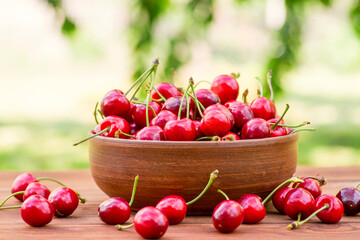 Ripe juicy berries cherries in a bowl. Freshly picked ripe cherries in a bowl