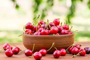 Fototapeta na wymiar Ripe juicy berries cherries in a bowl. Freshly picked ripe cherries in a bowl