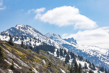 Fototapeta na wymiar Vue sur la montagne de la Grande Moucherolle dans le massif du Vercors (Isère, France)