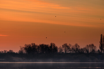 wschód słońca z ptakami w oddali i delikatną mgłą