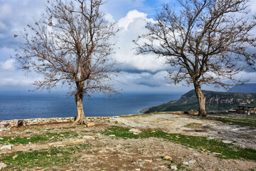 Fototapeta na wymiar trees, cliff, sky and mountains in the valley on the island on a winter day