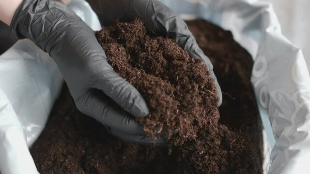 Woman holding a soil for planting plants. 