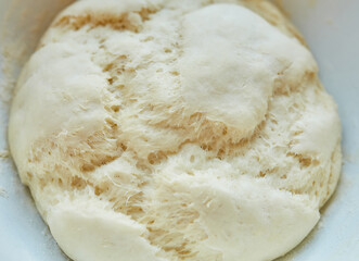 bowl of fresh raw dough