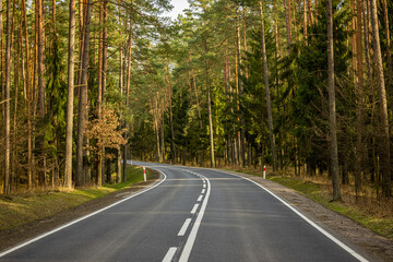 Fototapeta na wymiar Black asphalt road, single lane in the middle of green coniferous forest - early spring