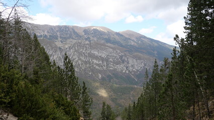 Fototapeta na wymiar vista montaña lejana entre los arboles