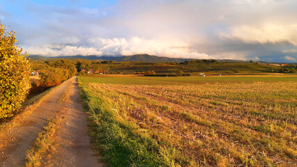 Field road, beautiful rural landscape at sunset.