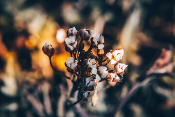 Macro Photos and more of other things