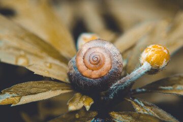 Macro Photos and more of other things