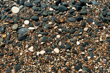 wet multi colored stones and pebbles on sea beach 