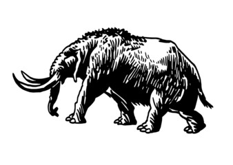 Naklejka na ściany i meble Graphical illustration of woolly mammoth isolated on white background,ancient animal