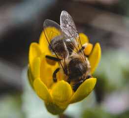 Macro Photos and more of other things